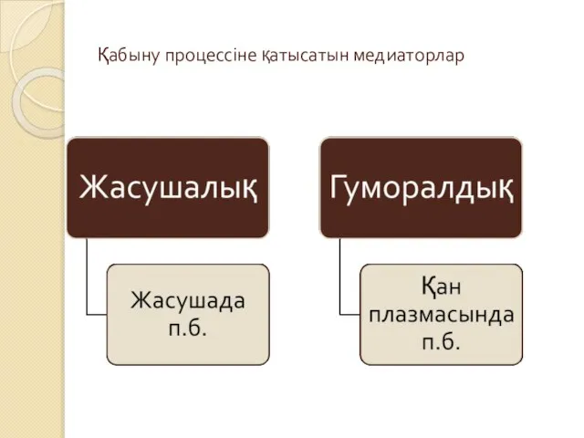 Қабыну процессіне қатысатын медиаторлар