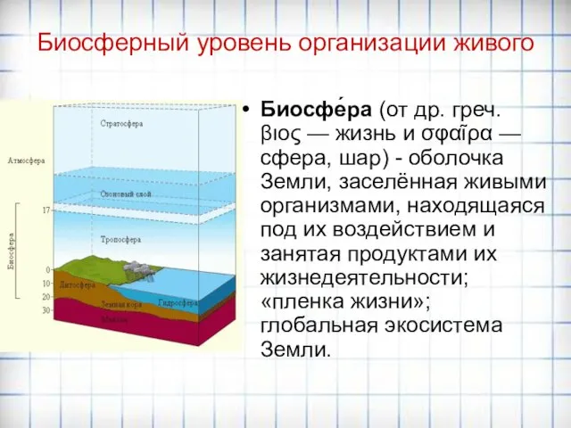 Биосферный уровень организации живого Биосфе́ра (от др. греч. βιος — жизнь