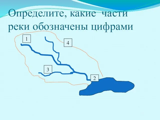 Определите, какие части реки обозначены цифрами 1 2 3 4