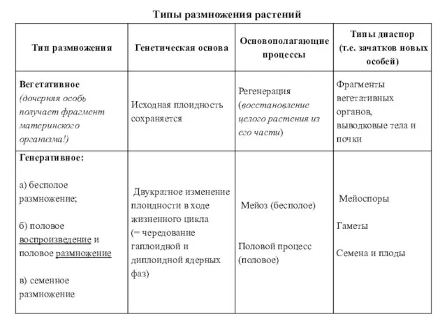 Типы размножения растений