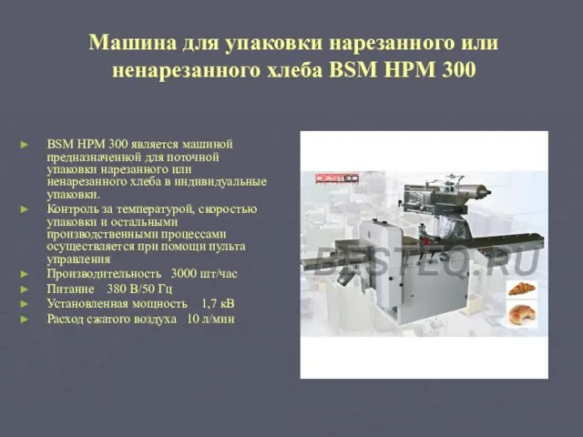 Машина для упаковки нарезанного или ненарезанного хлеба BSM HPM 300 BSM