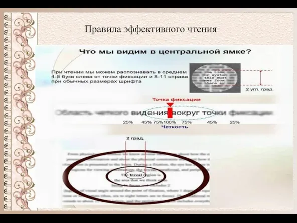 Правила эффективного чтения