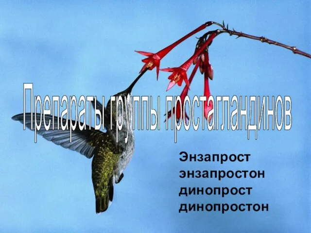 Препараты группы простагландинов Энзапрост энзапростон динопрост динопростон