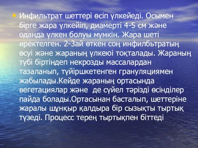 Инфильтрат шеттері өсіп үлкейеді. Осымен бірге жара үлкейіп, диамерті 4-5 см