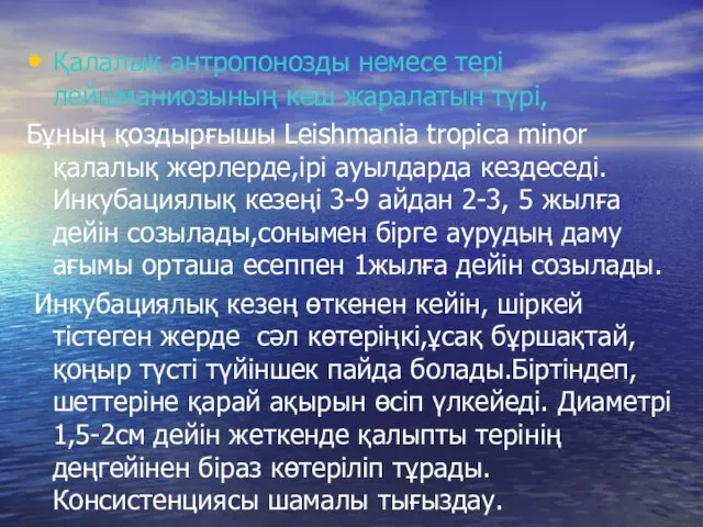 Қалалық антропонозды немесе тері лейшманиозының кеш жаралатын түрі, Бұның қоздырғышы Leishmania