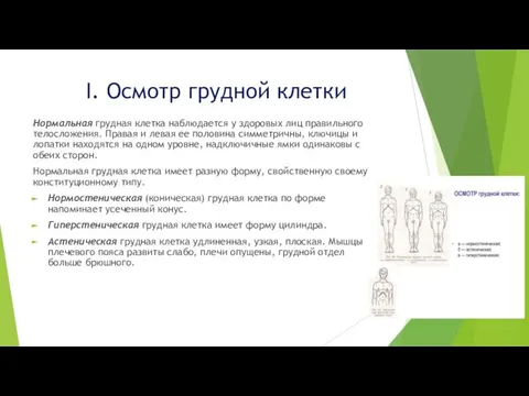 I. Осмотр грудной клетки Нормальная грудная клетка наблюдается у здоровых лиц