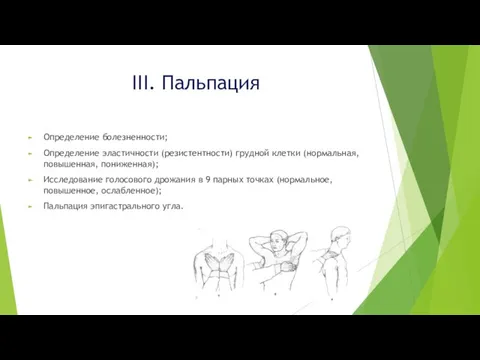 III. Пальпация Определение болезненности; Определение эластичности (резистентности) грудной клетки (нормальная, повышенная,