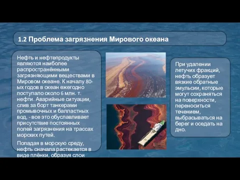 Нефть и нефтепродукты являются наиболее распространёнными загрязняющими веществами в Мировом океане.