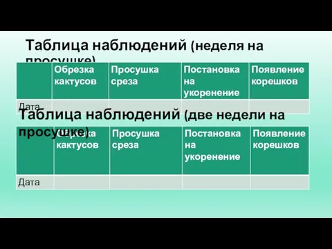 Таблица наблюдений (неделя на просушке) Таблица наблюдений (две недели на просушке)