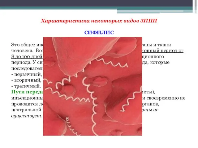 Характеристика некоторых видов ЗППП СИФИЛИС Это общее инфекционное заболевание, поражает все