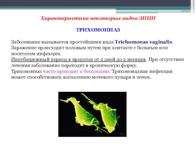 Характеристика некоторых видов ЗППП ТРИХОМОНИАЗ Заболевание вызывается простейшими вида Trichomonas vaginalis.