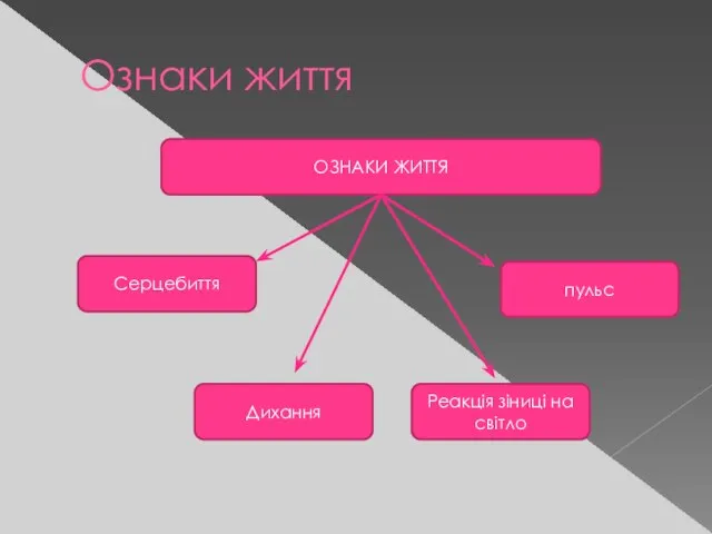 Ознаки життя ОЗНАКИ ЖИТТЯ Серцебиття пульс Дихання Реакція зіниці на світло