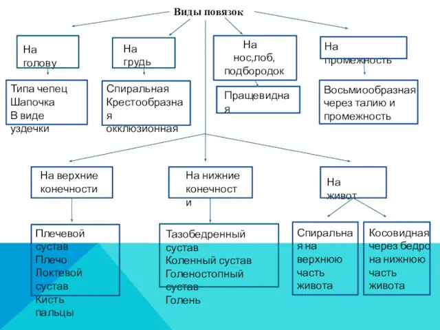 Виды повязок На голову На грудь На нос,лоб, подбородок На промежность