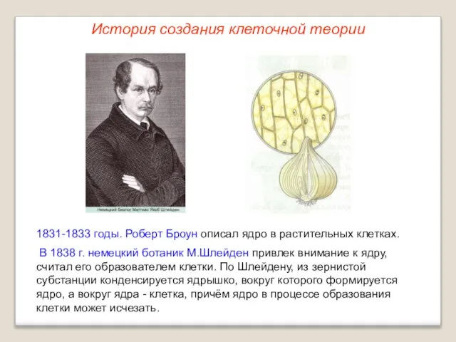 1831-1833 годы. Роберт Броун описал ядро в растительных клетках. В 1838