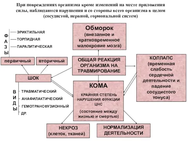 При повреждениях организма кроме изменений на месте приложения силы, наблюдаются нарушения