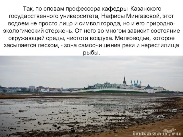 Так, по словам профессора кафедры Казанского государственного университета, Нафисы Мингазовой, этот