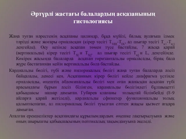 Әртүрлі жастағы балалардың асқазанының гистологиясы Жаңа туған нәрестенің асқазаны цилиндр, бұқа