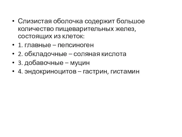 Слизистая оболочка содержит большое количество пищеварительных желез, состоящих из клеток: 1.