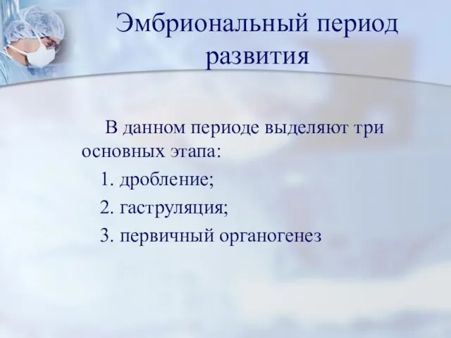 Эмбриональный период развития В данном периоде выделяют три основных этапа: 1.