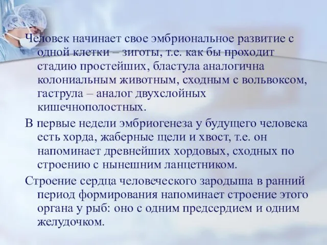 Человек начинает свое эмбриональное развитие с одной клетки – зиготы, т.е.