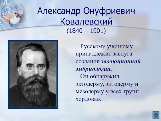 Александр Онуфриевич Ковалевский (1840 – 1901) Русскому ученному принадлежит заслуга создания