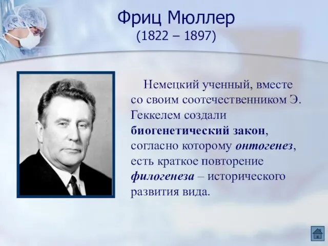 Фриц Мюллер (1822 – 1897) Немецкий ученный, вместе со своим соотечественником