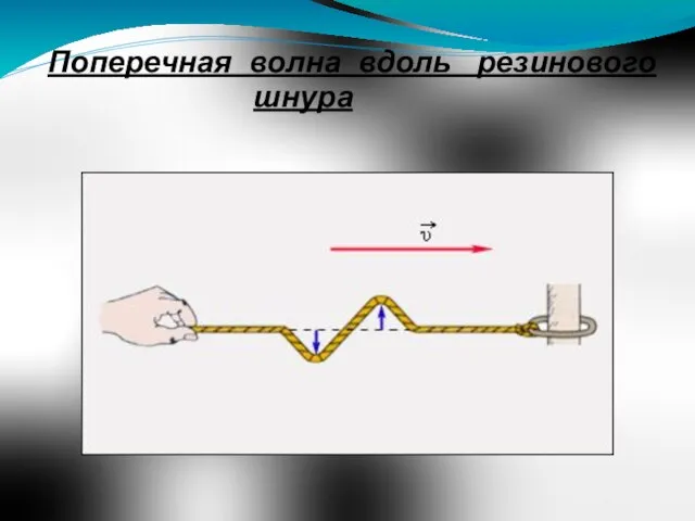 Поперечная волна вдоль резинового шнура