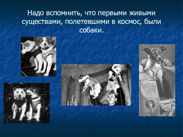 Надо вспомнить, что первыми живыми существами, полетевшими в космос, были собаки.