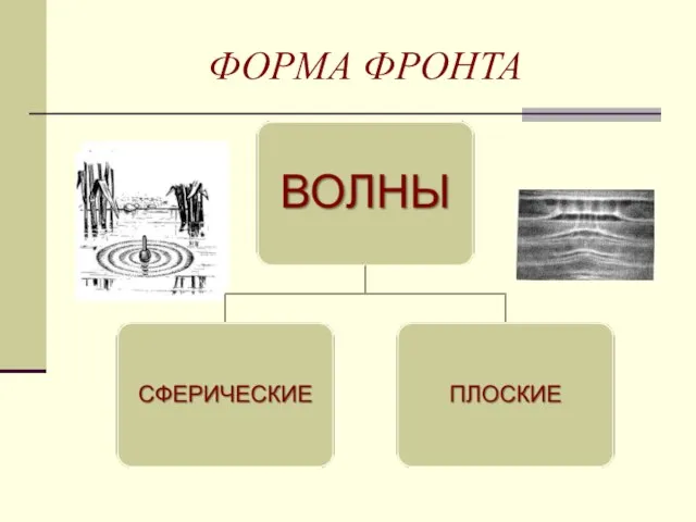 ФОРМА ФРОНТА