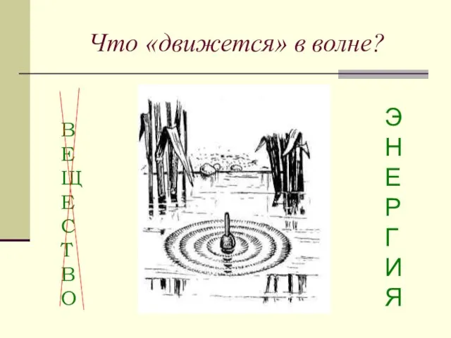 Что «движется» в волне? В Е Щ Е С Т В