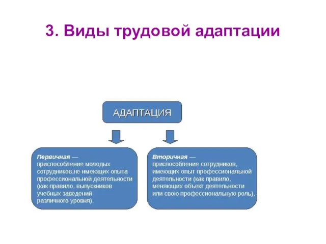 3. Виды трудовой адаптации