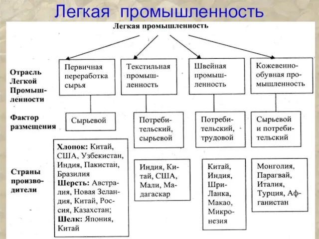 Легкая промышленность