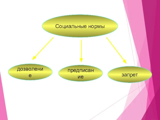 Социальные нормы дозволение предписание запрет