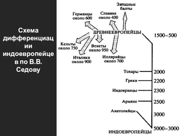 Схема дифференциации индоевропейцев по В.В. Седову