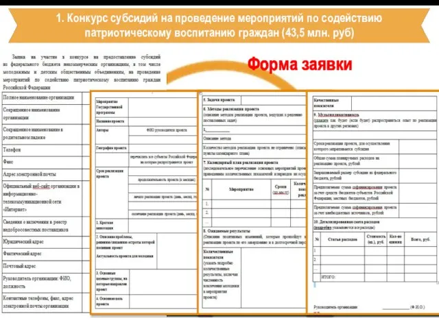 1. Конкурс субсидий на проведение мероприятий по содействию патриотическому воспитанию граждан (43,5 млн. руб) Форма заявки