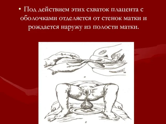 Под действием этих схваток плацента с оболочками отделяется от стенок матки