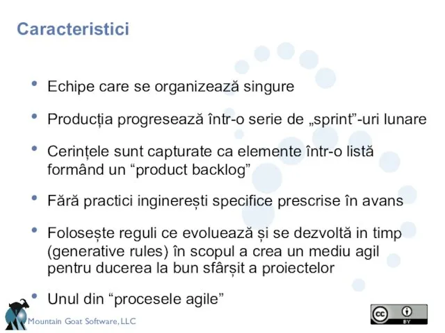 Caracteristici Echipe care se organizează singure Producția progresează într-o serie de