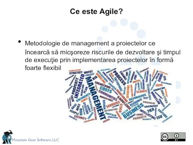 Ce este Agile? Metodologie de management a proiectelor ce încearcă să