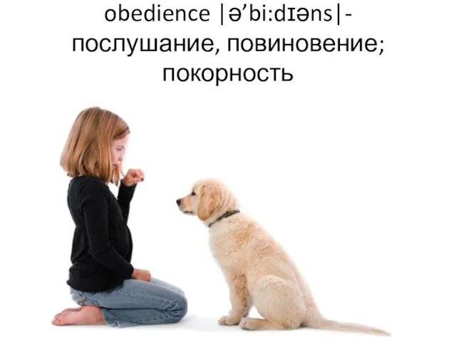 obedience |ə’bi:dɪəns|- послушание, повиновение; покорность