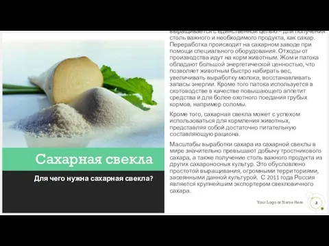 Сахарная свекла Для чего нужна сахарная свекла? Данная культура, как уже