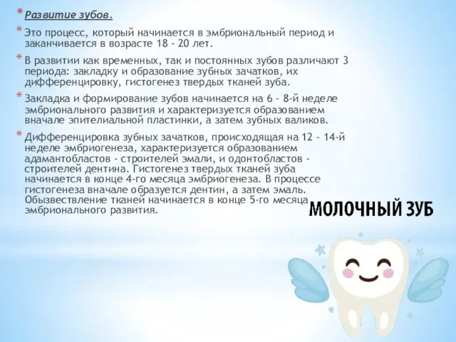 Развитие зубов. Это процесс, который начинается в эмбриональный период и заканчивается