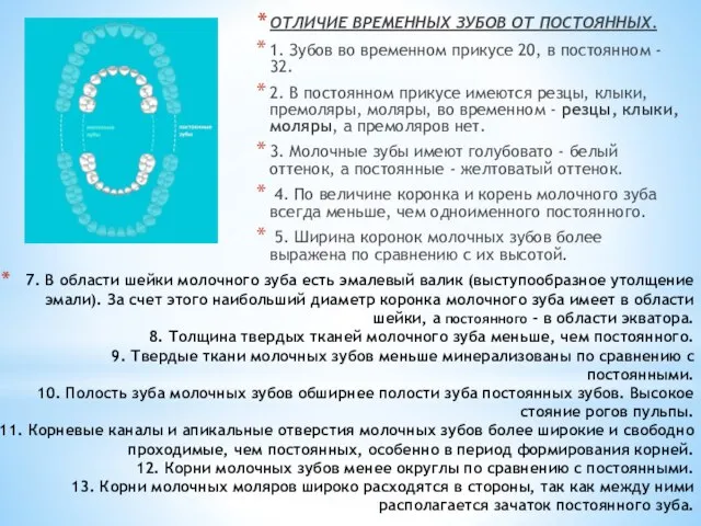 ОТЛИЧИЕ ВРЕМЕННЫХ ЗУБОВ ОТ ПОСТОЯННЫХ. 1. Зубов во временном прикусе 20,