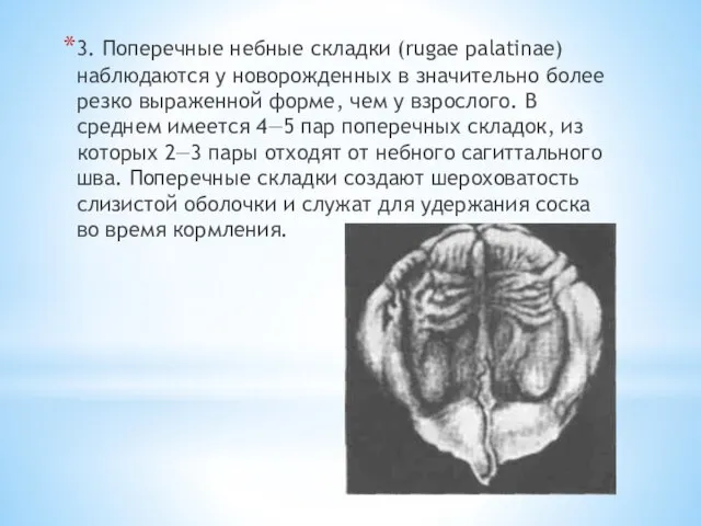 3. Поперечные небные складки (rugae palatinae) наблюдаются у ново­рожденных в значительно