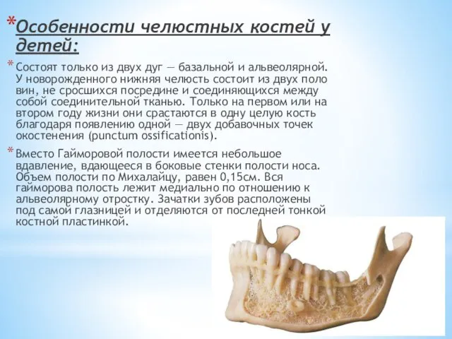 Особенности челюстных костей у детей: Состоят только из двух дуг —