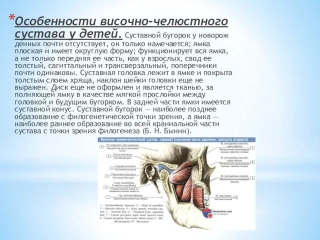 Особенности височно-челюстного сустава у детей. Суставной бугорок у новорож­денных почти отсутствует,