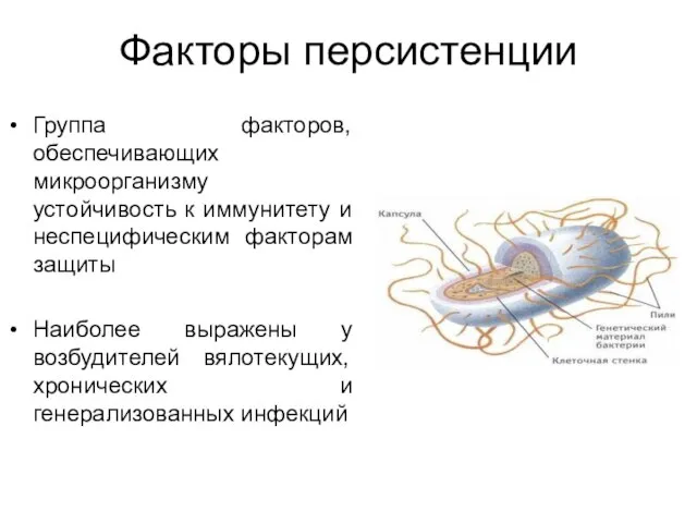 Факторы персистенции Группа факторов, обеспечивающих микроорганизму устойчивость к иммунитету и неспецифическим