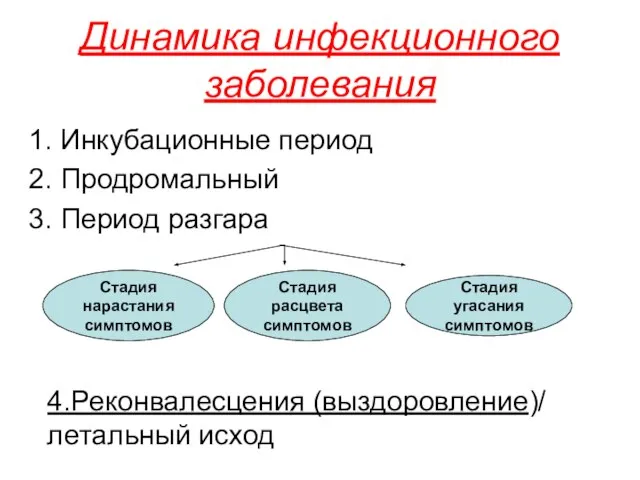 Динамика инфекционного заболевания 1. Инкубационные период 2. Продромальный 3. Период разгара