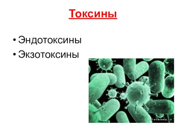 Токсины Эндотоксины Экзотоксины