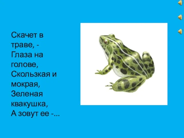 Скачет в траве, - Глаза на голове, Скользкая и мокрая, Зеленая квакушка, А зовут ее -...