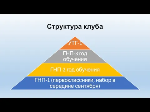 Структура клуба